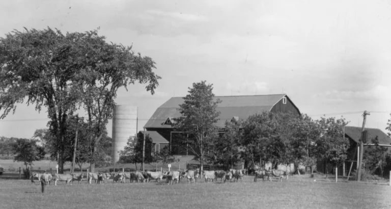 Update on the Ontario Barn Preservation Survey