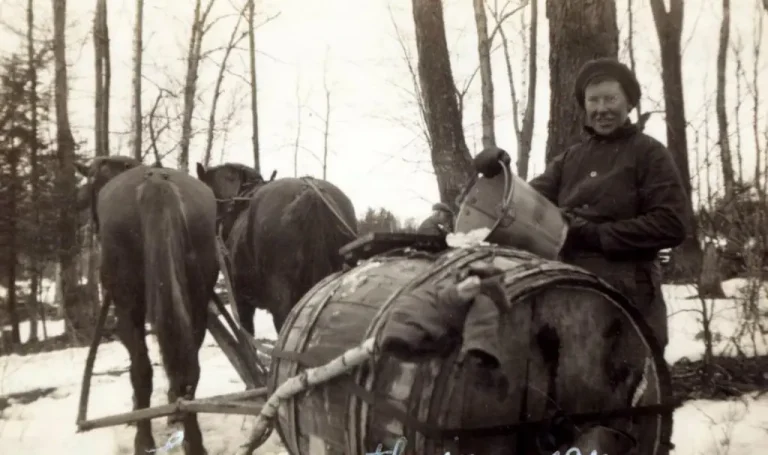 A Farmer’s Tasks in Winters Past: Some Reflections and Advice: Part 3 of 5