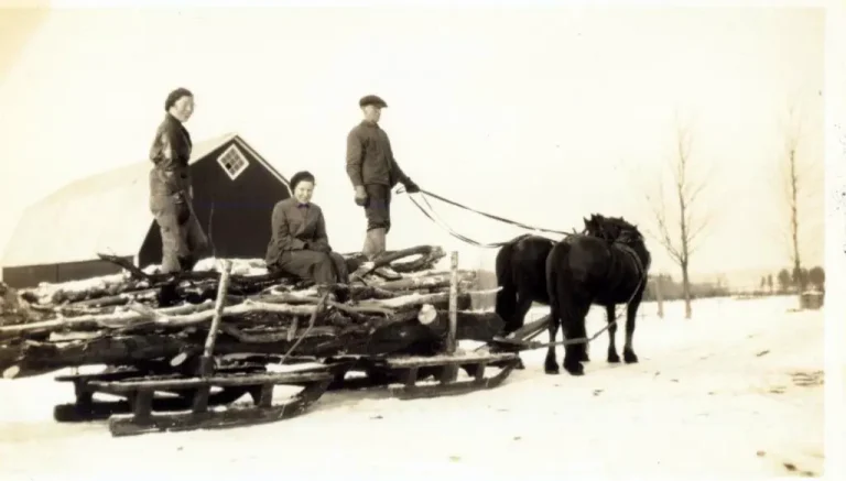 A Farmer’s Tasks in Winters Past: Some Reflections and Advice: Part 2 of 5