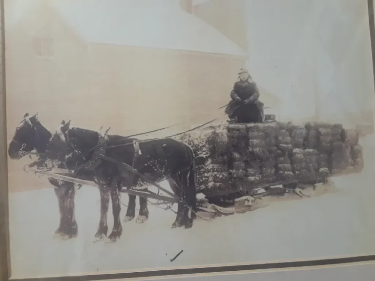A Farmer’s Tasks in Winters Past: Some Reflections and Advice: Part 4 of 5
