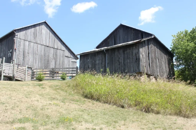 PRESERVING OLD ONTARIO BARNS IN THE ON-LINE WORLD: PART 1 of 5, INTRODUCTION