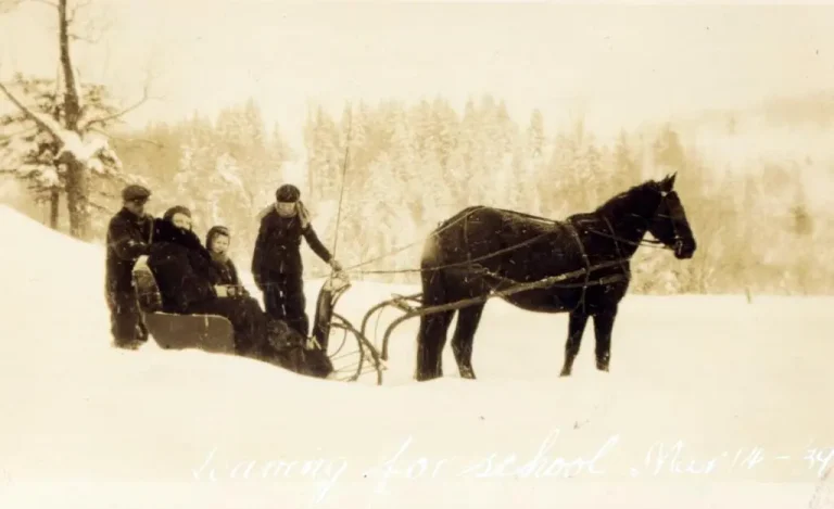A Farmer’s Tasks in Winters Past: Some Reflections and Advice: Part 1 of 5