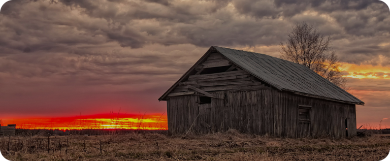 Barn Songs