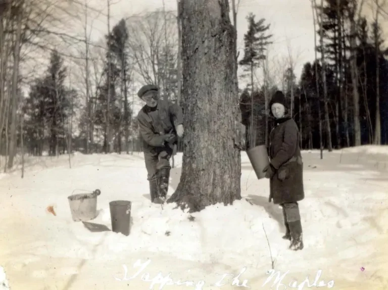 A Farmer’s Tasks in Winters Past: Some Reflections and Advice: Part 5 of 5