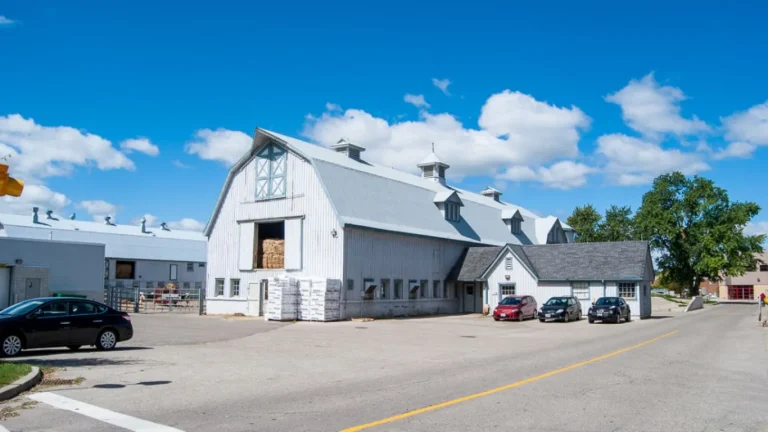 Education in Eramosa: Part 2 – Exploring the OAC Dairy Barns